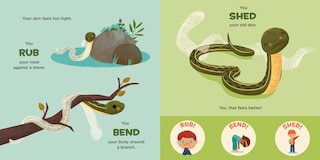 Sample content 4_You Are a Garter Snake!