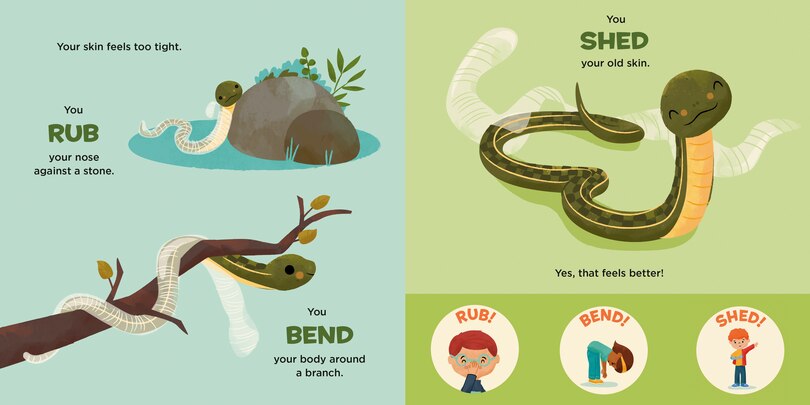 Sample content 4_You Are a Garter Snake!