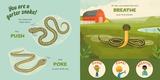 Sample content 5_You Are a Garter Snake!