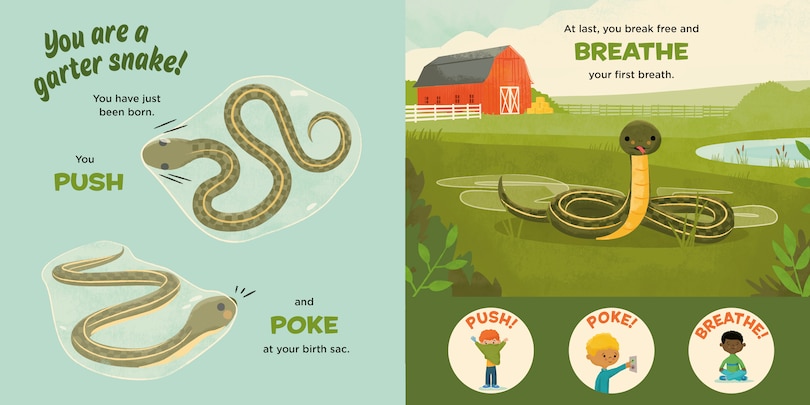 Sample content 5_You Are a Garter Snake!