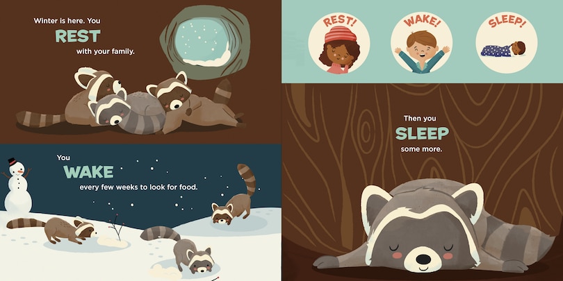 Sample content_You Are a Raccoon!