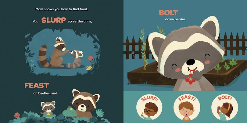 Sample content 3_You Are a Raccoon!