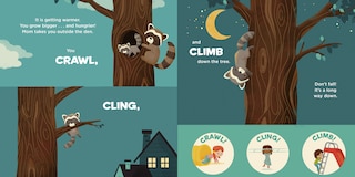 Sample content 4_You Are a Raccoon!