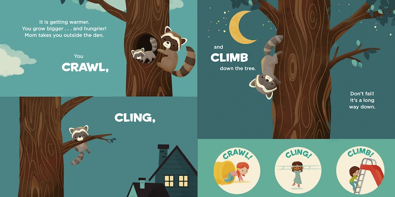 Sample content 4_You Are a Raccoon!