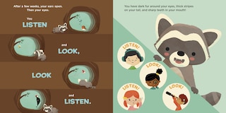 Sample content 5_You Are a Raccoon!