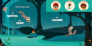 Sample content 2_You Are a Raccoon!