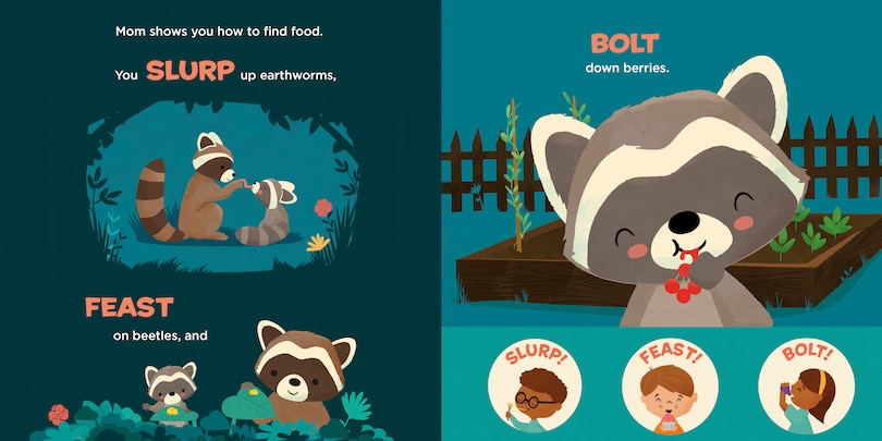 Sample content 3_You Are a Raccoon!