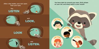 Sample content 5_You Are a Raccoon!