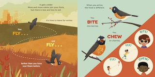 Aper&ccedil;u du contenu_You Are a Robin!