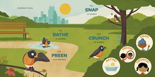 Aper&ccedil;u du contenu 2_You Are a Robin!