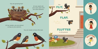 Aper&ccedil;u du contenu 3_You Are a Robin!