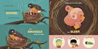 Aper&ccedil;u du contenu 4_You Are a Robin!