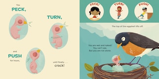 Aper&ccedil;u du contenu 5_You Are a Robin!