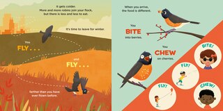 Sample content_You Are a Robin!