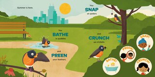 Sample content 2_You Are a Robin!