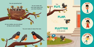 Sample content 3_You Are a Robin!