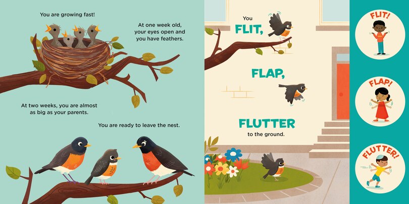 Sample content 3_You Are a Robin!