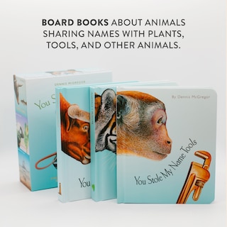 Aperçu du contenu_You Stole My Name Board Book Box Set