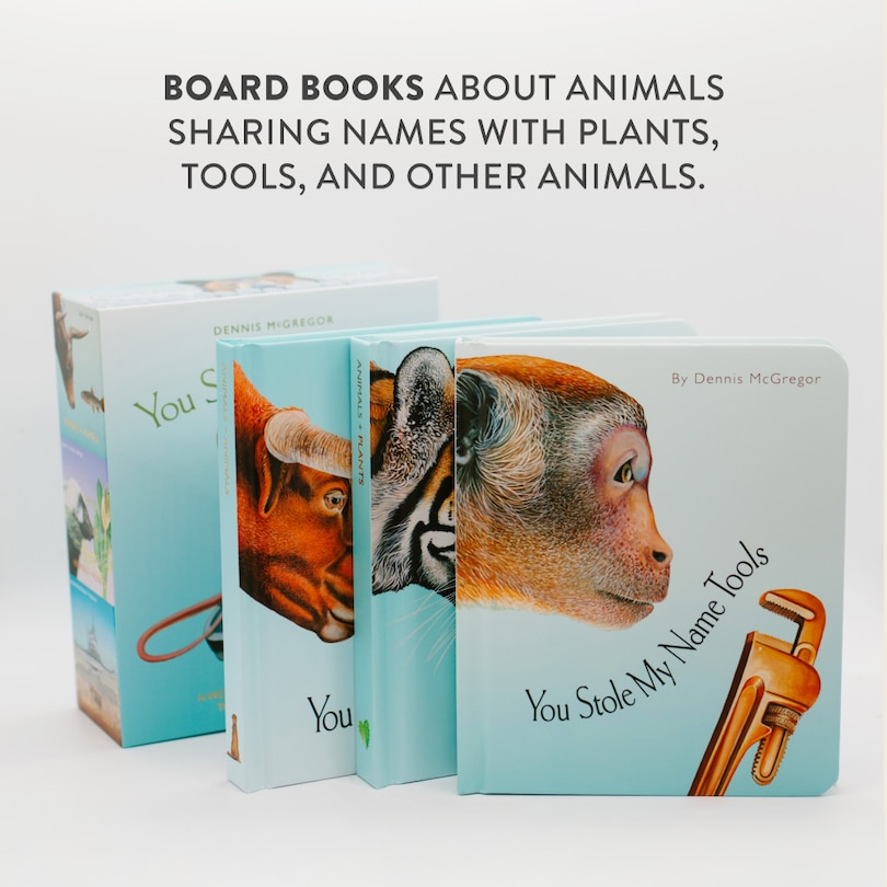 Aperçu du contenu_You Stole My Name Board Book Box Set