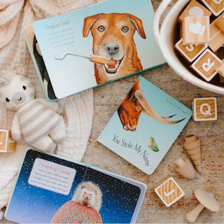 Aperçu du contenu 5_You Stole My Name Board Book Box Set
