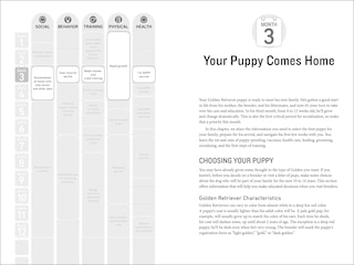 Sample content_Your Golden Retriever Puppy Month By Month