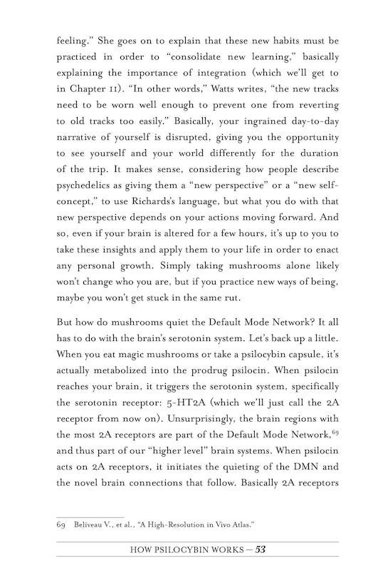 Aper&ccedil;u du contenu 5_Your Psilocybin Mushroom Companion