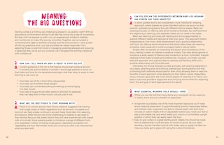 Sample content 2_Yummy Little Belly