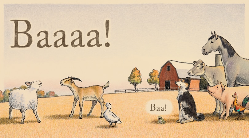 Sample content_Zip Zap Wickety Wack