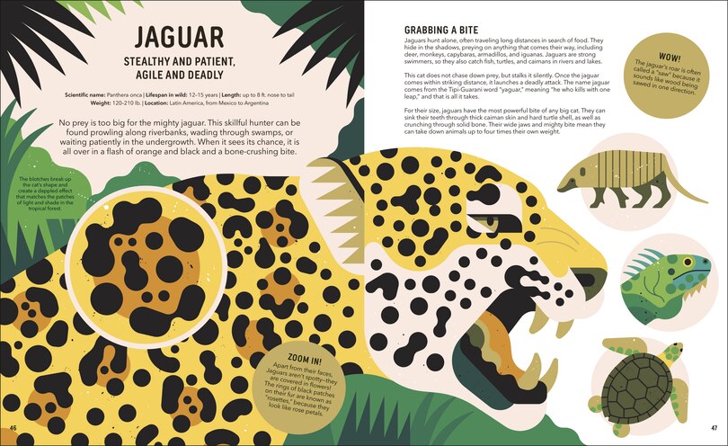 Aperçu du contenu 4_Zoom Out Natural World