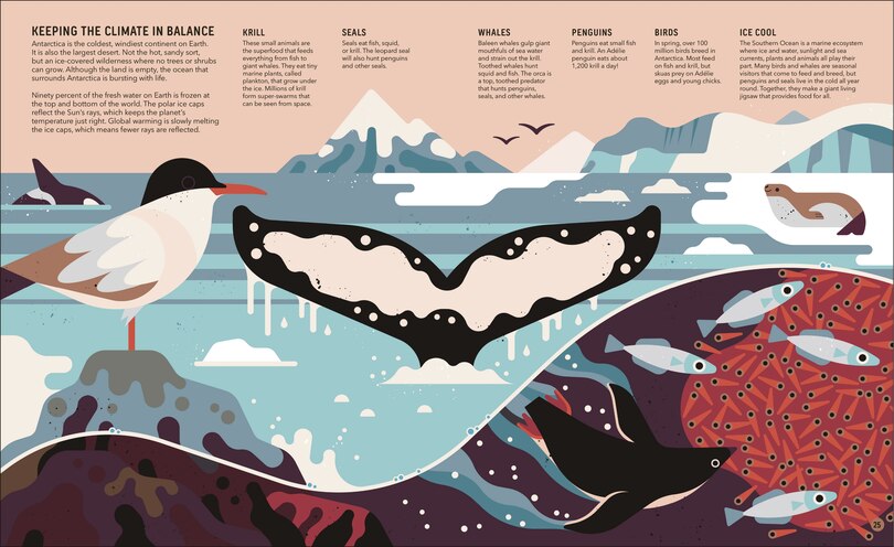 Aperçu du contenu 5_Zoom Out Natural World