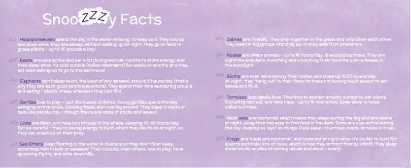 Sample content_Zzzookeeper