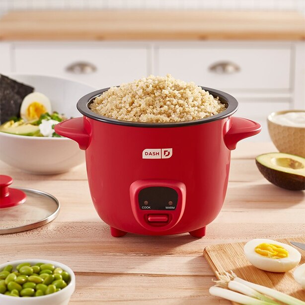 pics Dash Mini Rice Cooker Recipes chapters indigo