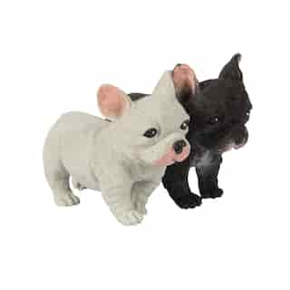 Pocket Pup (Ships 1 of 2 Assorted Styles)