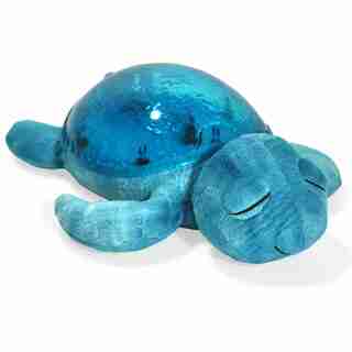Tranquil Turtle - Aqua