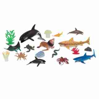 Terra Marine World in Bucket