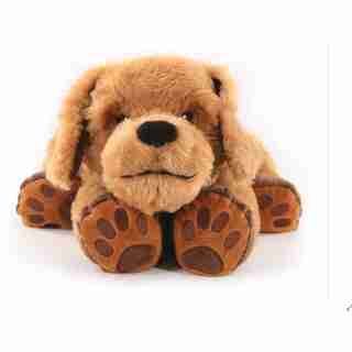 THEO THERAPY DOG