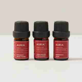 DIFFUSER BLEND ESSENTIAL OIL GIFT SET, HOLIDAY