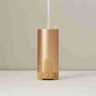 TRAVEL ULTRASONIC DIFFUSER, GOLD