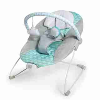Ity™ Bouncity Bounce™ Vibrating Deluxe Bouncer, Goji™