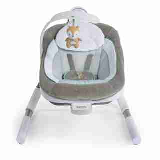 Ingenuity™ AnyWay Sway™ PowerAdapt™ Dual-Direction Portable Swing, Ray™