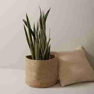 Melia Large Basket, Sand