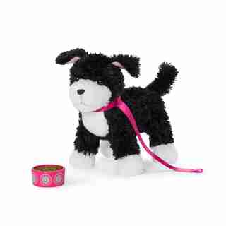 Kavi's Dog