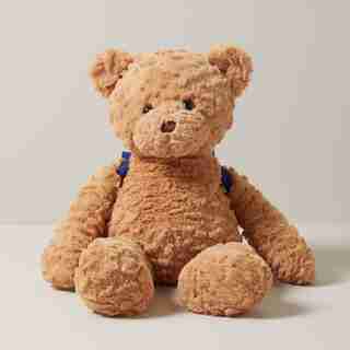 Limited Edition Teddy Bear