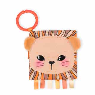 Activity Book - The Curious Lion