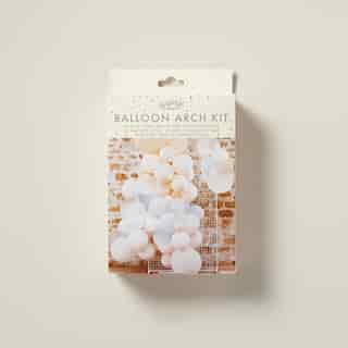 GINGER RAY MATTE FINISH BALLOON ARCH PASTEL PINK AND BLUE