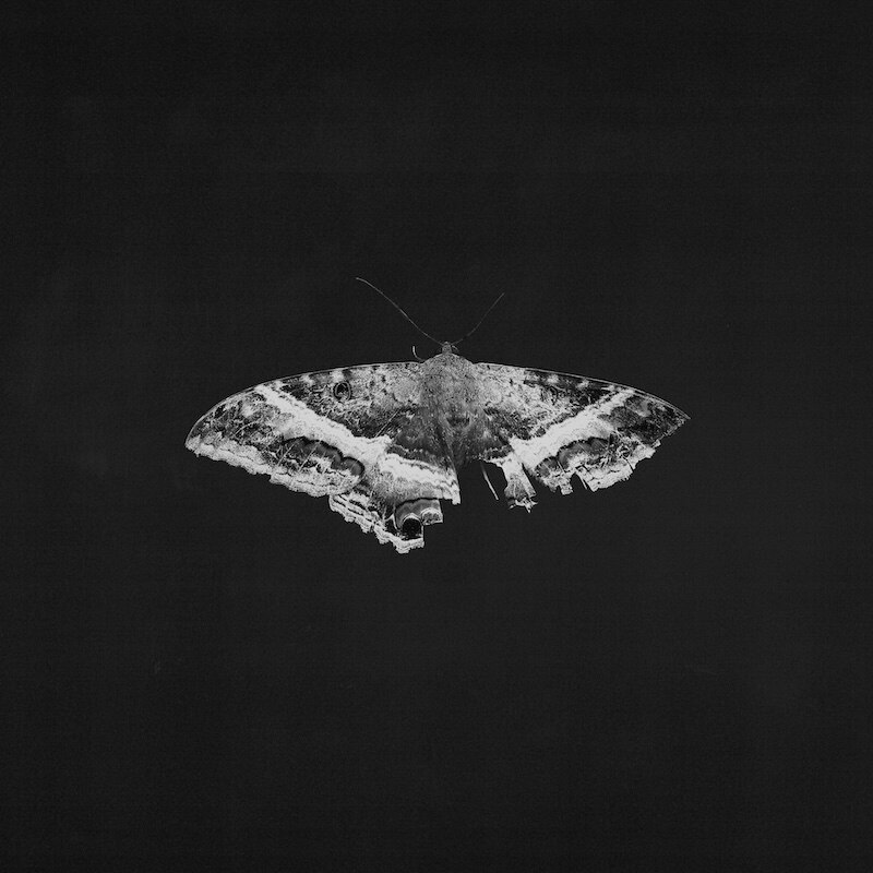 1.jpg?width=320&maxHeight=320&