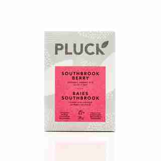 Sachets de thé pyramidaux Pluck Tea, Baies Southbrook