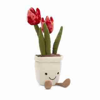 Amuseable Tulip