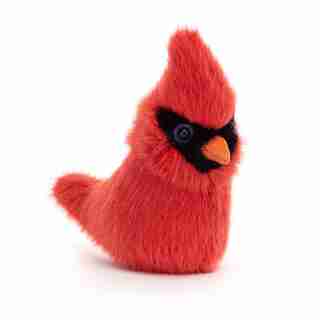 Birdling Cardinal
