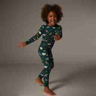 Kids' 2-Piece Pajama Set, Arctic Animal Toss Size 4